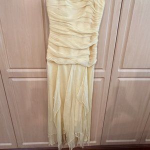 BCBG Maxazria full length dress
